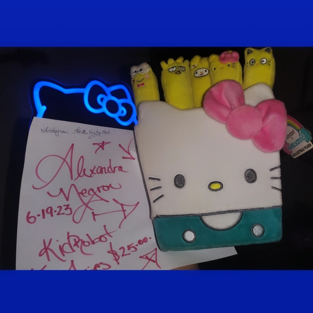 Kidrobot plush